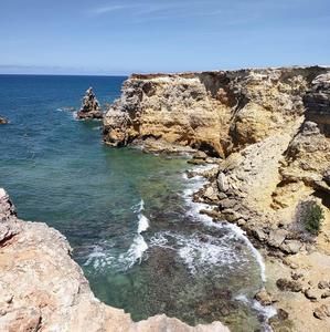 Meet your Posher, Edwin lourdes